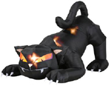 Cat Image